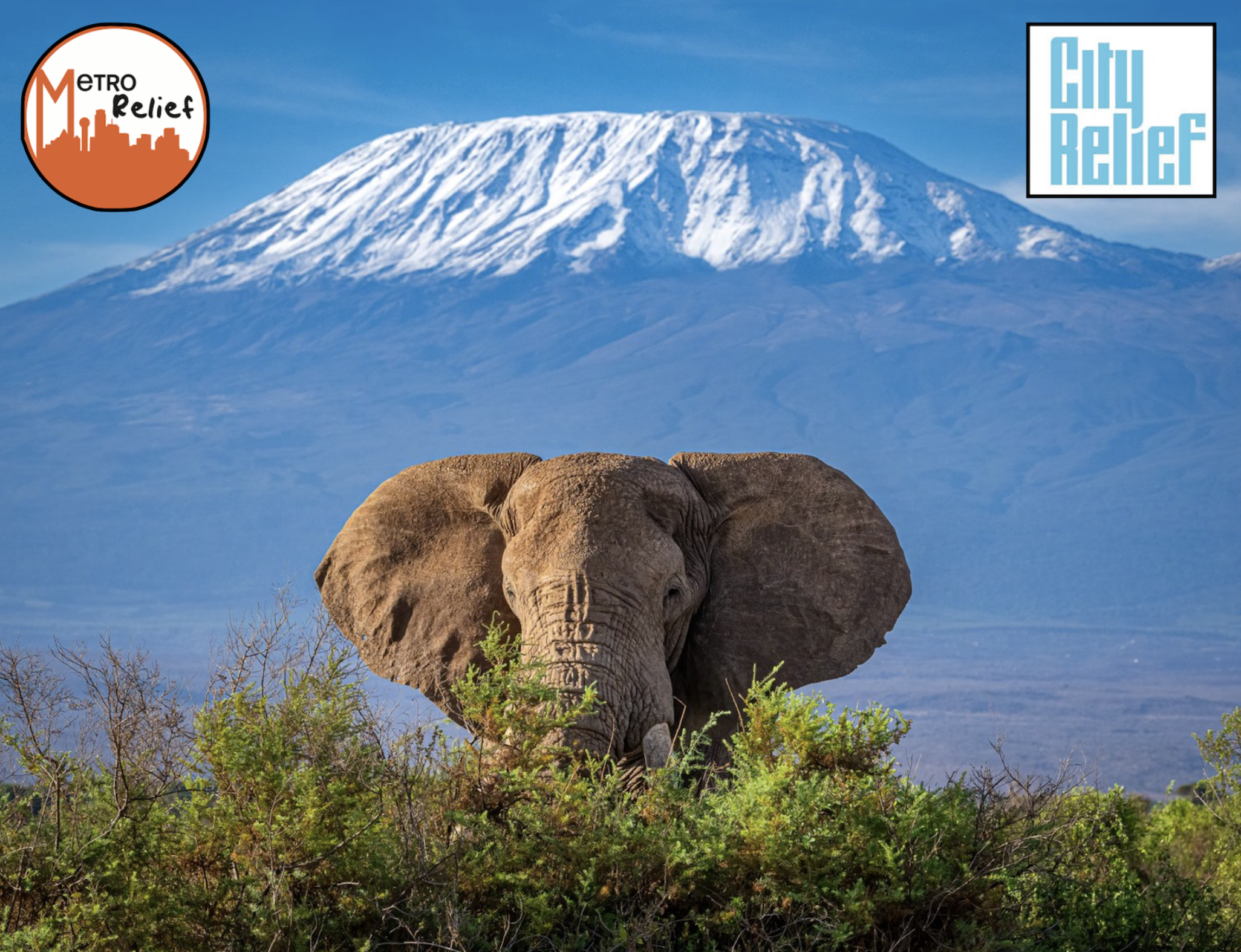 Hike for THE HOMELESS - Kilimanjaro Fundraiser 